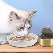 Heavy & shallow cat bowls