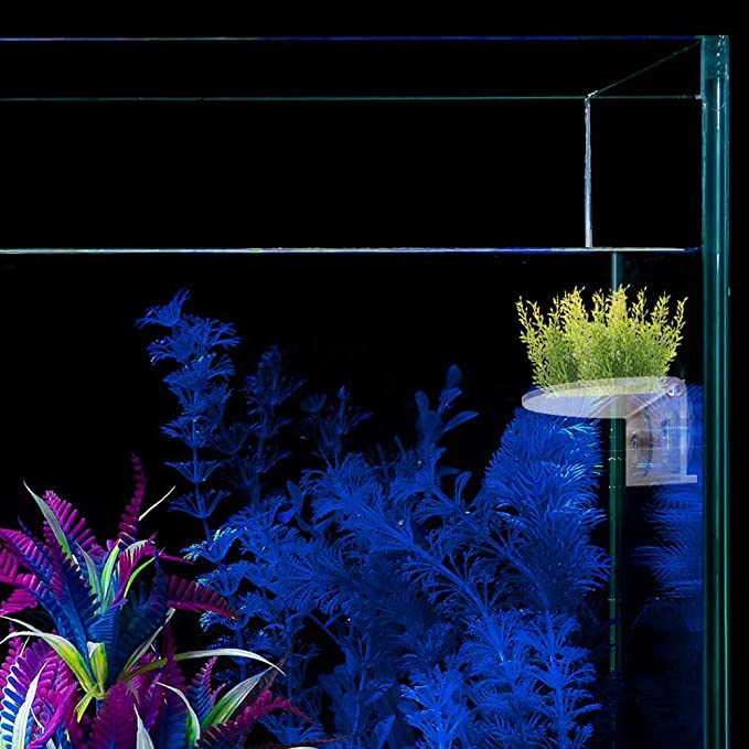 2Pack Aquarium Shelf,Transparent Acrylic Ledge Plants Holder for Substrate and Live Plants,with Stron