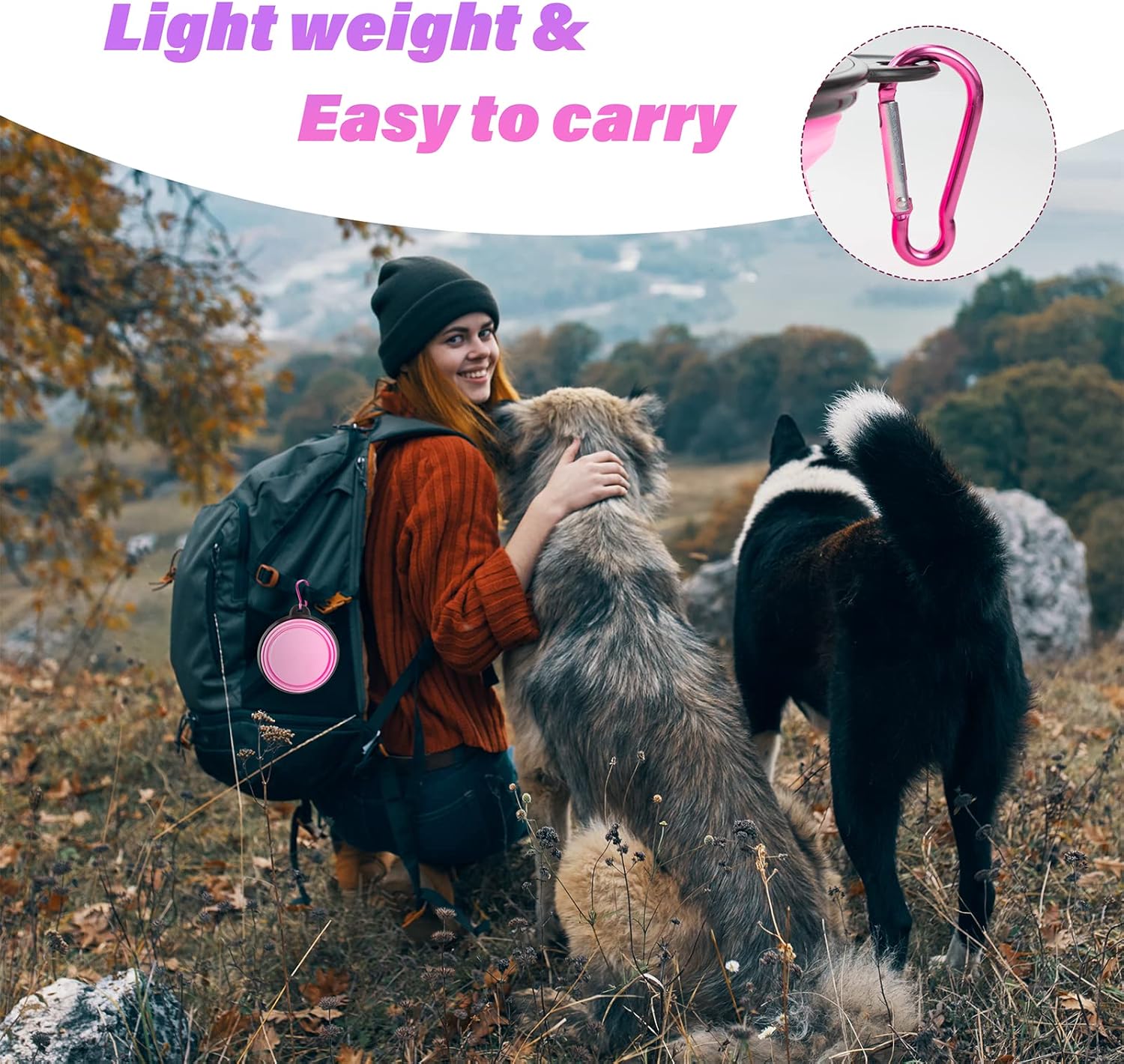 Dog Bowl Pet Collapsible Bowls, 2 Pack Collapsible Dog Water Bowls for Cats Dogs, Portable Pet Feedin