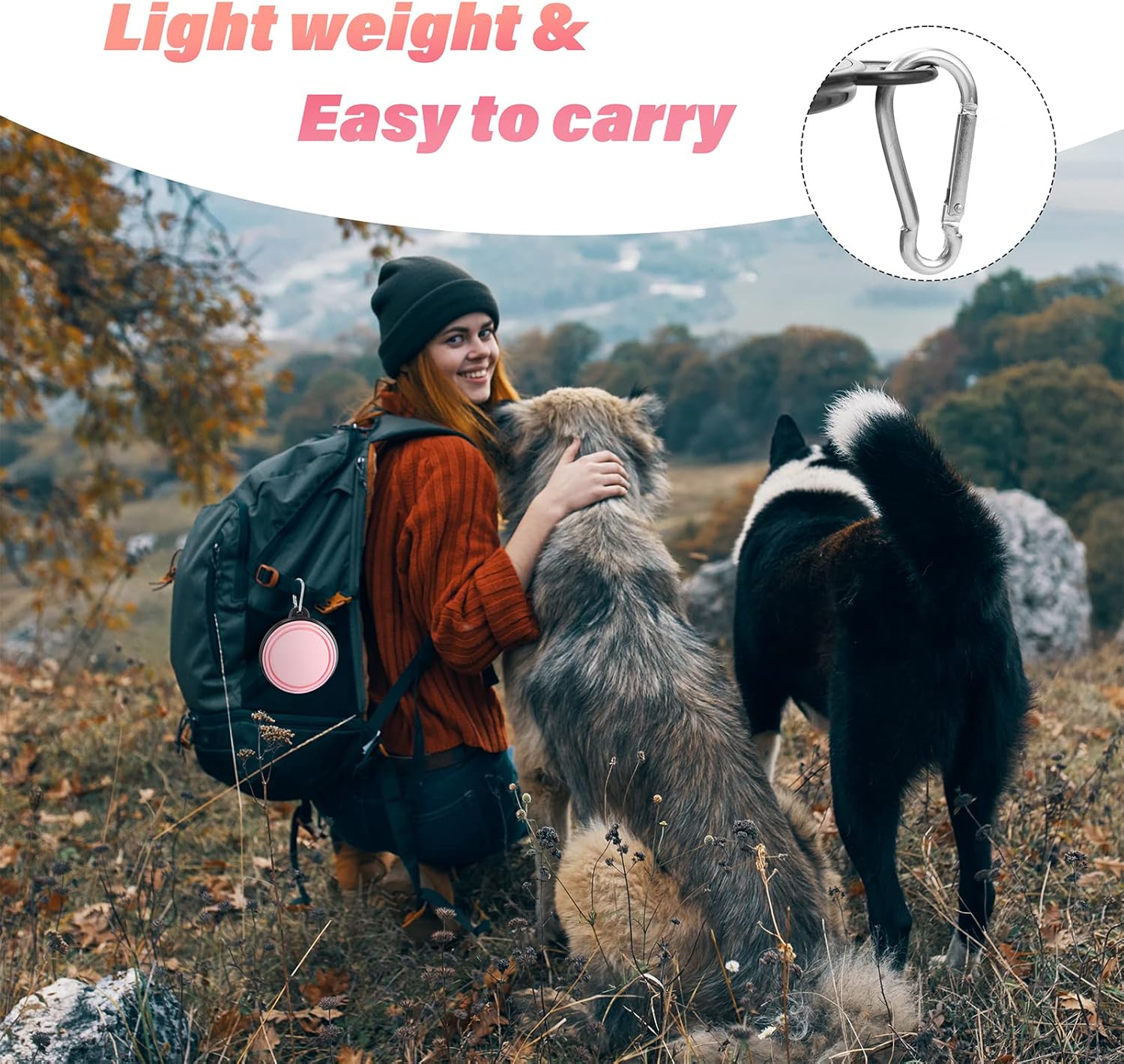 Dog Bowl Pet Collapsible Bowls, 2 Pack Collapsible Dog Water Bowls for Cats Dogs, Portable Pet Feedin