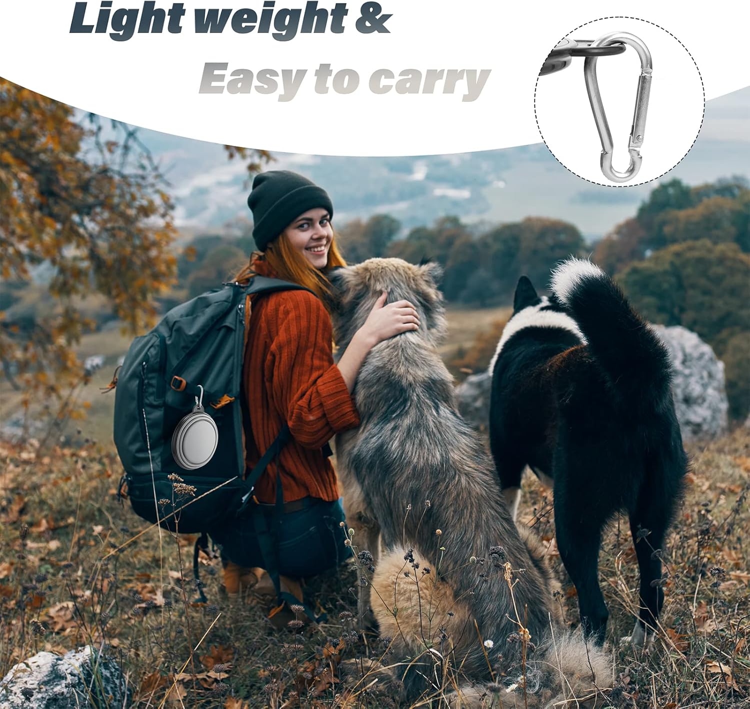 Dog Bowl Pet Collapsible Bowls, 2 Pack Collapsible Dog Water Bowls for Cats Dogs, Portable Pet Feedin