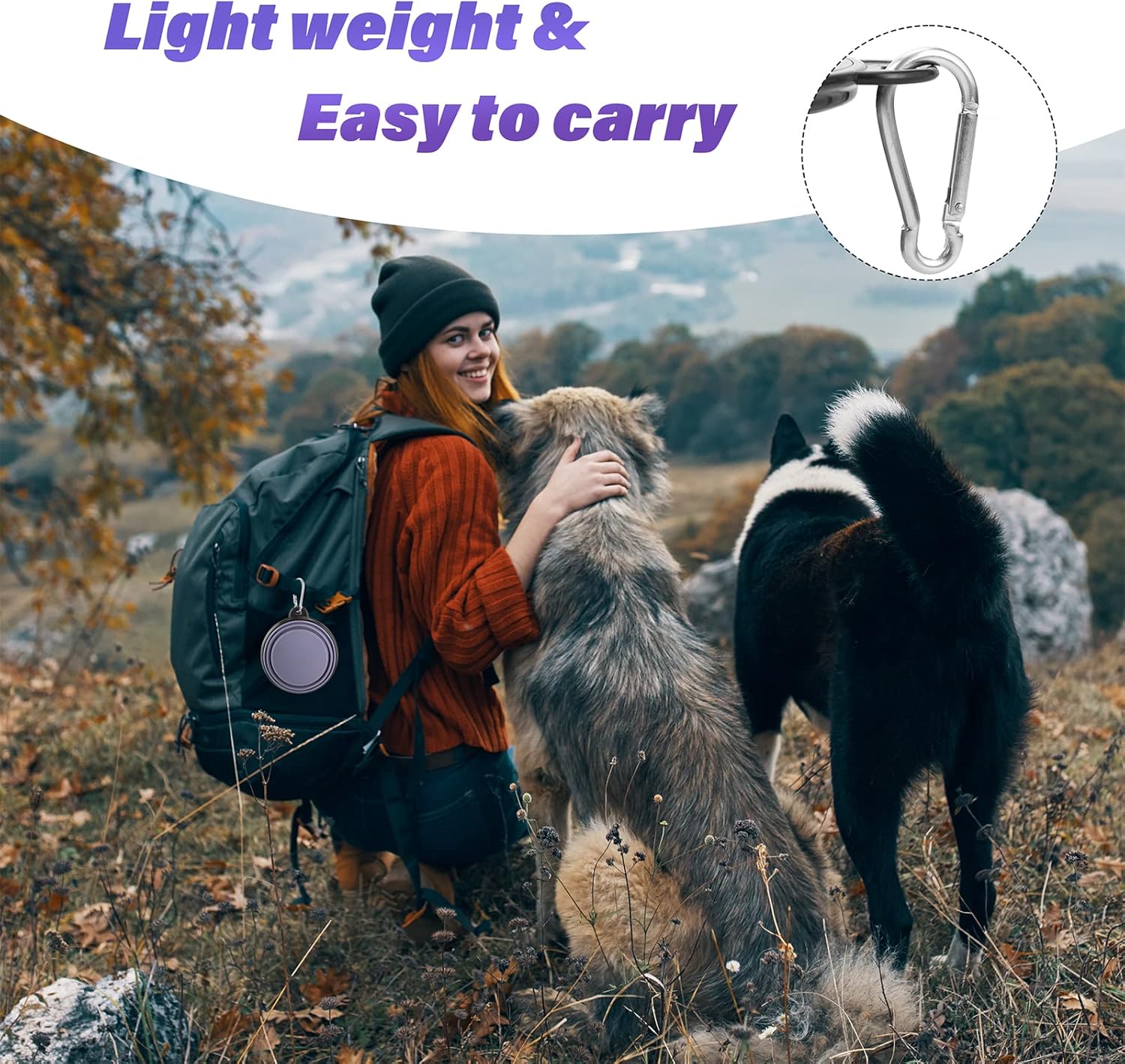 Dog Bowl Pet Collapsible Bowls, 2 Pack Collapsible Dog Water Bowls for Cats Dogs, Portable Pet Feedin