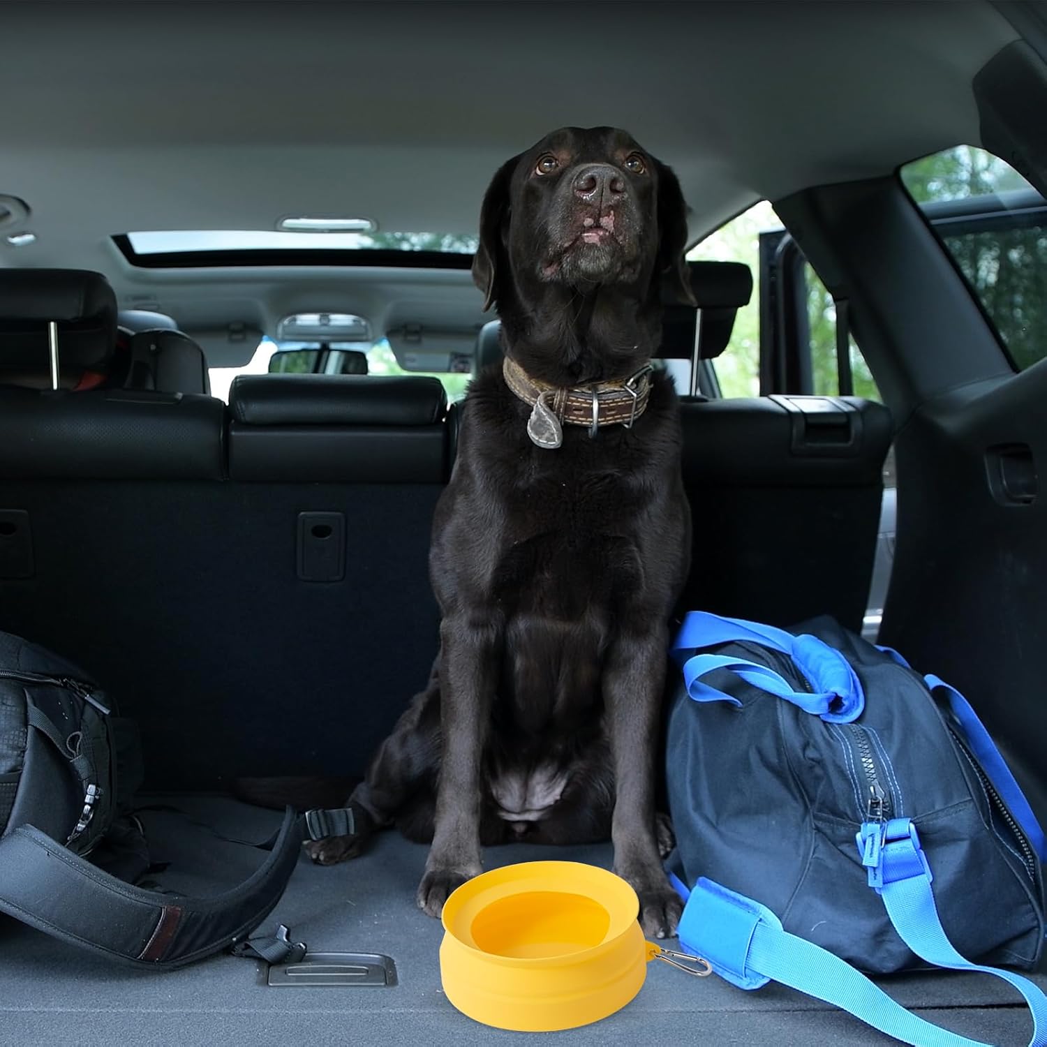 SLSON Spill Proof Dog Water Bowl for Cars,Collapsible No Splash Dog Travel Bowls Integrated Molding P