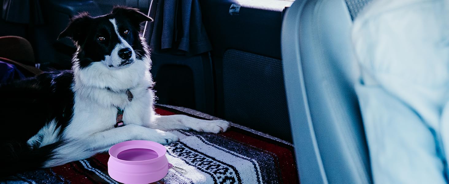 dog water bowl for cars