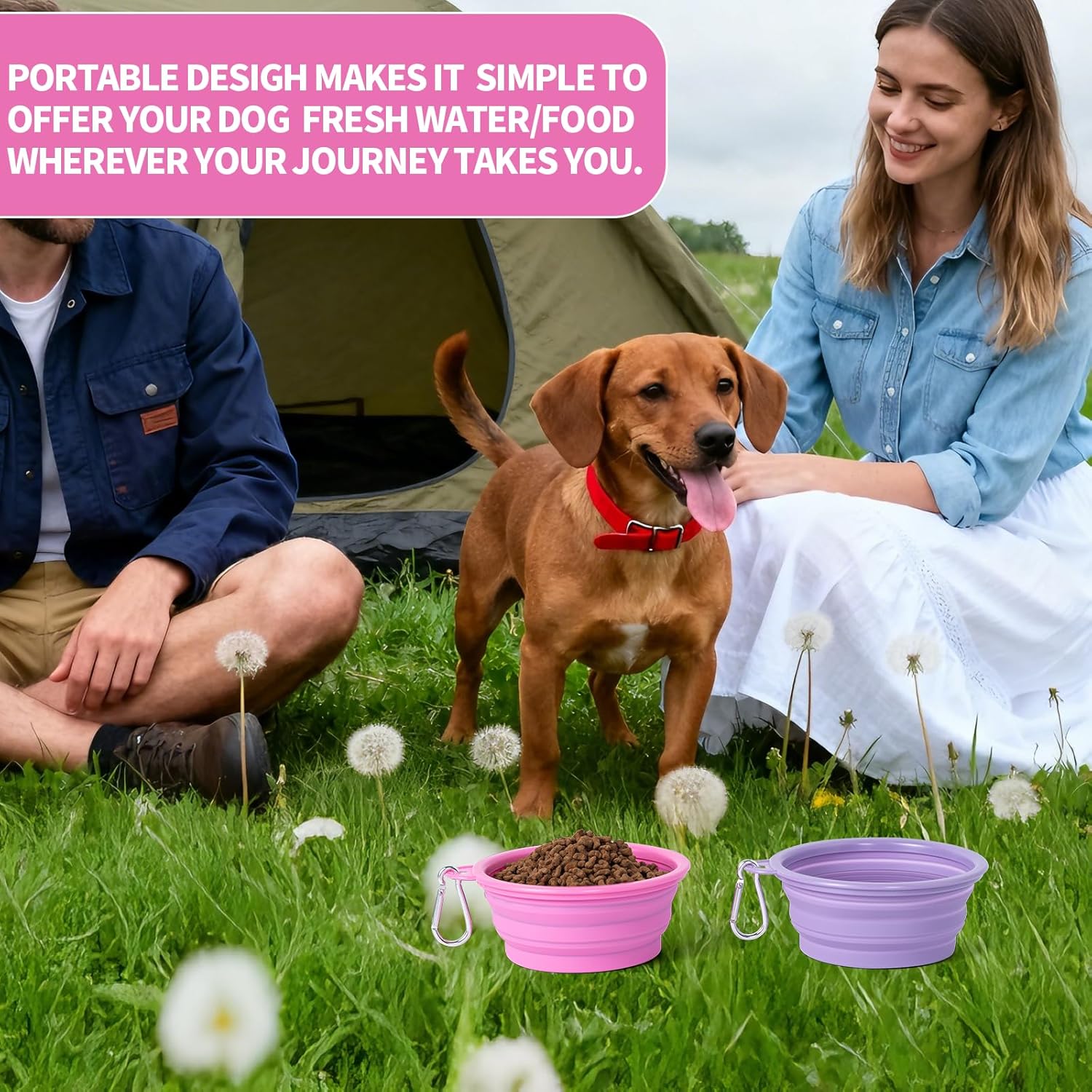 SLSON Collapsible Dog Bowl, 2Pack Macaron Color Pet Travel Bowls Silicone Foldable Water Feeder Dish 