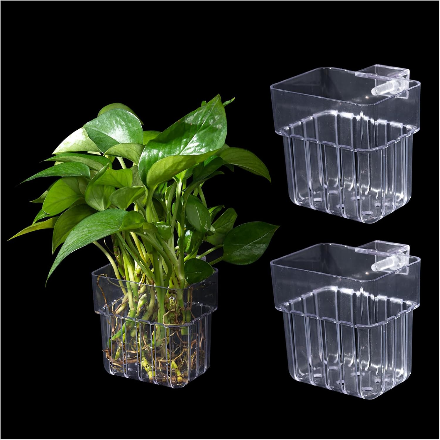 Aquarium Plant Holder,2Pack Transparent Hanging Pot for Fish Tank Aquatic Plant Cultivation and Aquas