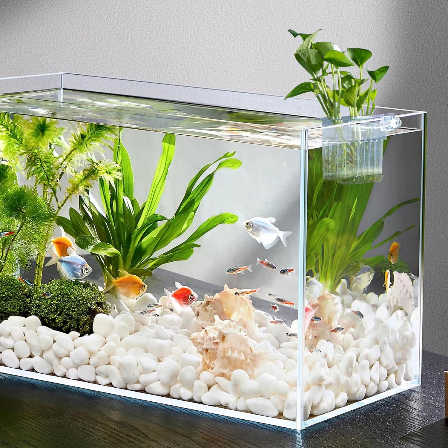 Aquarium Plant Holder,2Pack Transparent Hanging Pot for Fish Tank Aquatic Plant Cultivation and Aquas