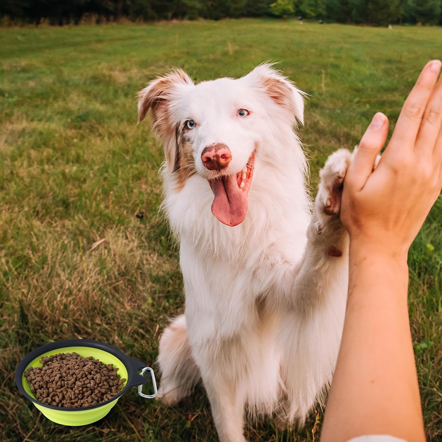 SLSON Dog Bowls Collapsible Pet Travel Feeder, 2Pack Integrated Molded Reinforced Rim Cat Water Dish 