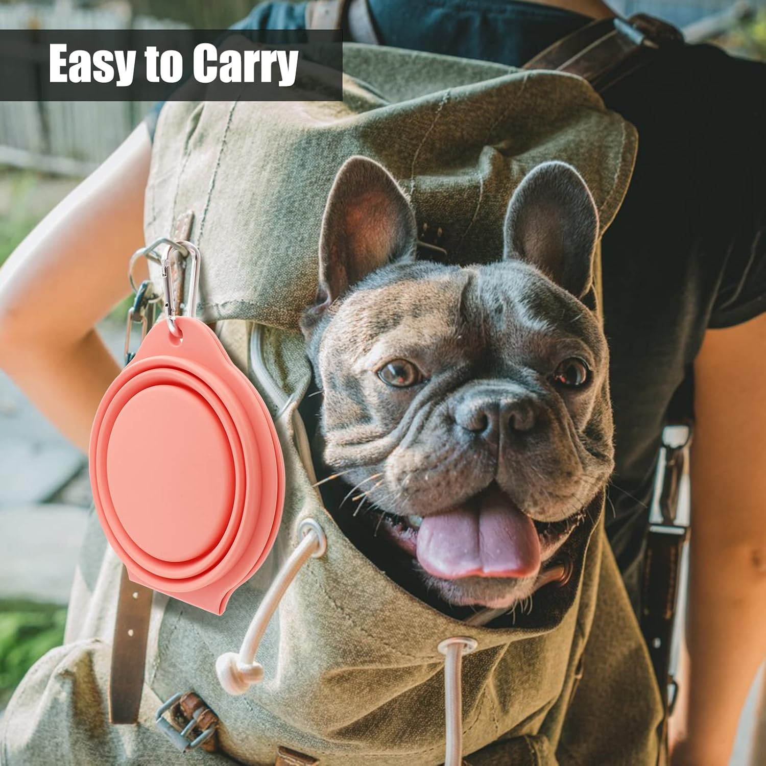 SLSON Collapsible Dog Bowls,Integrated Molding Dog Double Bowl No Plastic Rim 2 in 1 Foldable Pet Foo