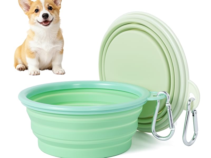 dog bowls