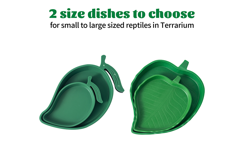 reptile dish