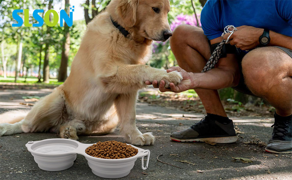 collapsible dog dual bowls