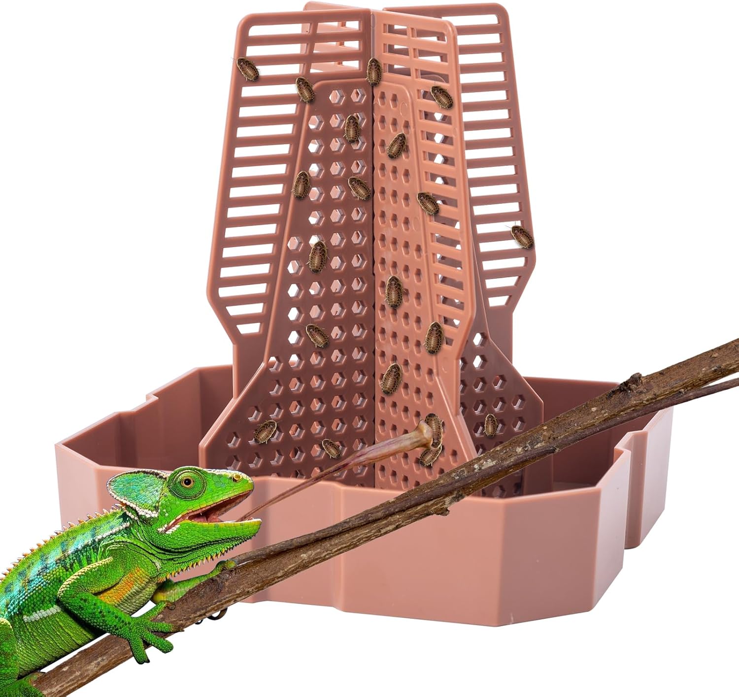 Reptile Feeder Bowls with Climbing Ladder for Chameleon,Bearded Dragon,Guardians Hunting Bugs Keep Tr