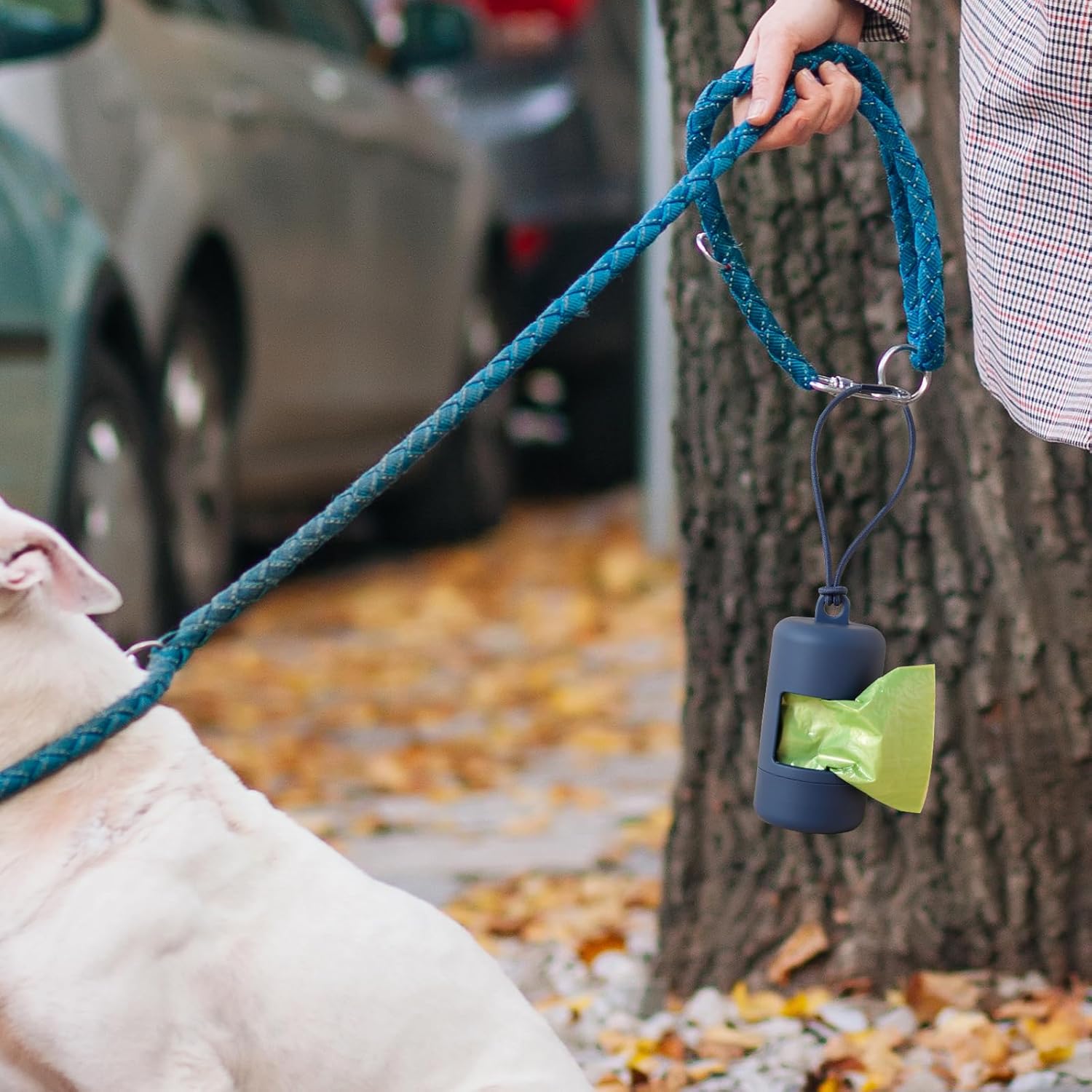 Traveling with Your Dog? Don’t Forget This Essential Accessory