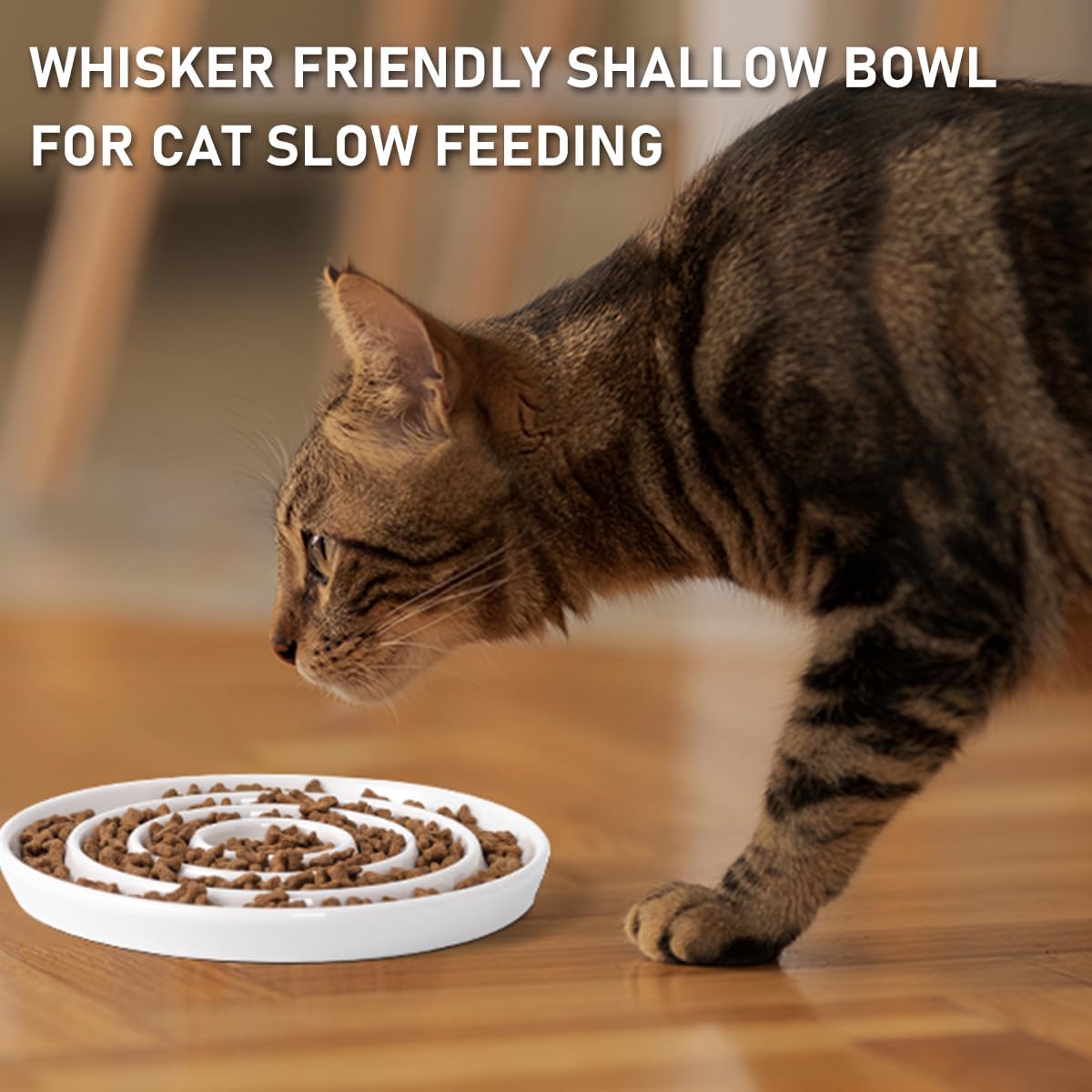 Gift Guide for Cat Owners: Practical & Thoughtful Cat Lover Gift Ideas
