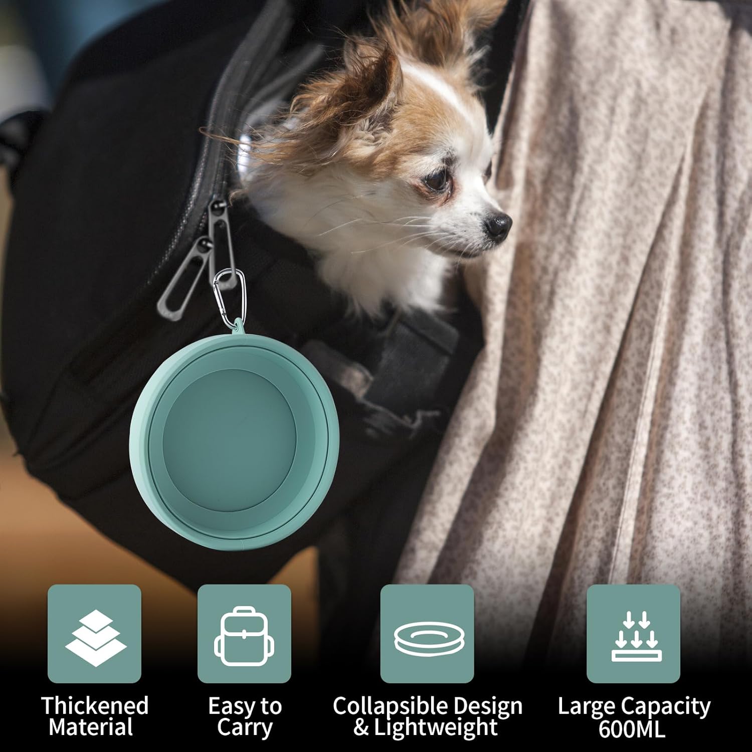Best Dog Travel Accessories for Car Trips: Essential Gear for Safe and Clean Road Travel