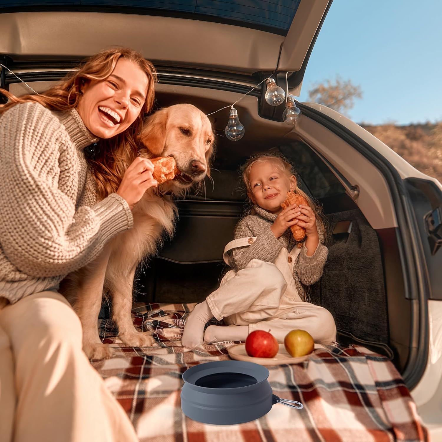 Best Travel Dog Water Bowl for Road Trips: What Pet Owners Should Know