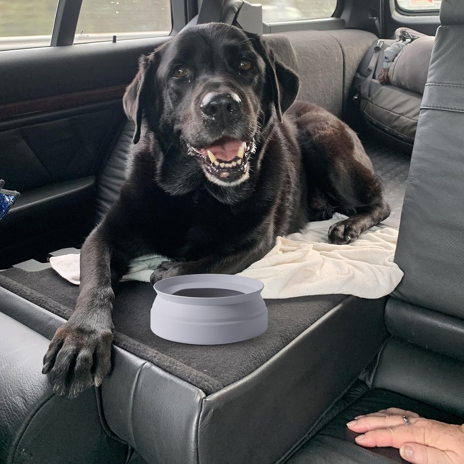Dog Water Bowl for SUV, Truck, and RV Travel: The Best Solution for Mess-Free Hydration on the Road