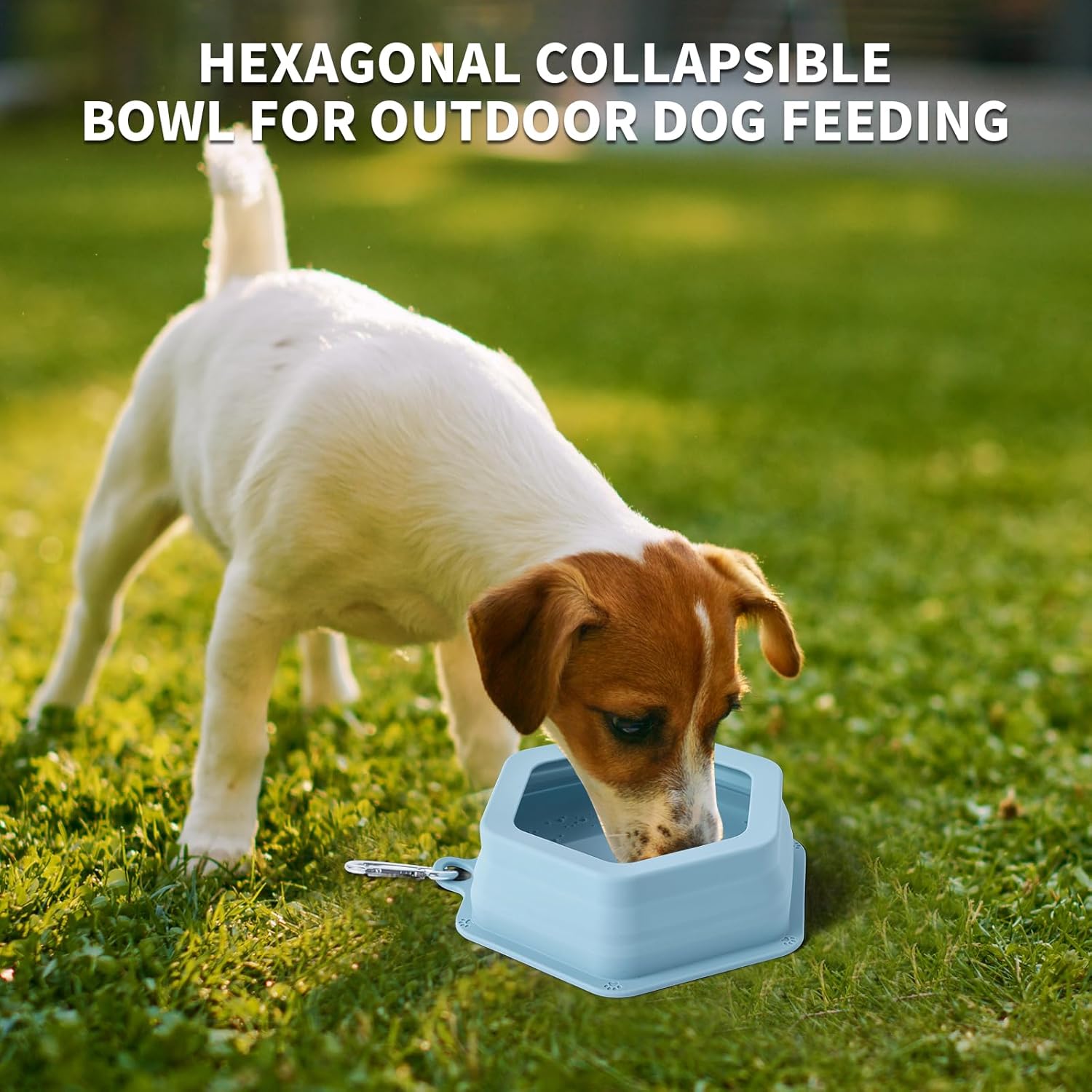 Why Dog Water Spills in Cars—and How to Fix It Easily (Complete Guide)