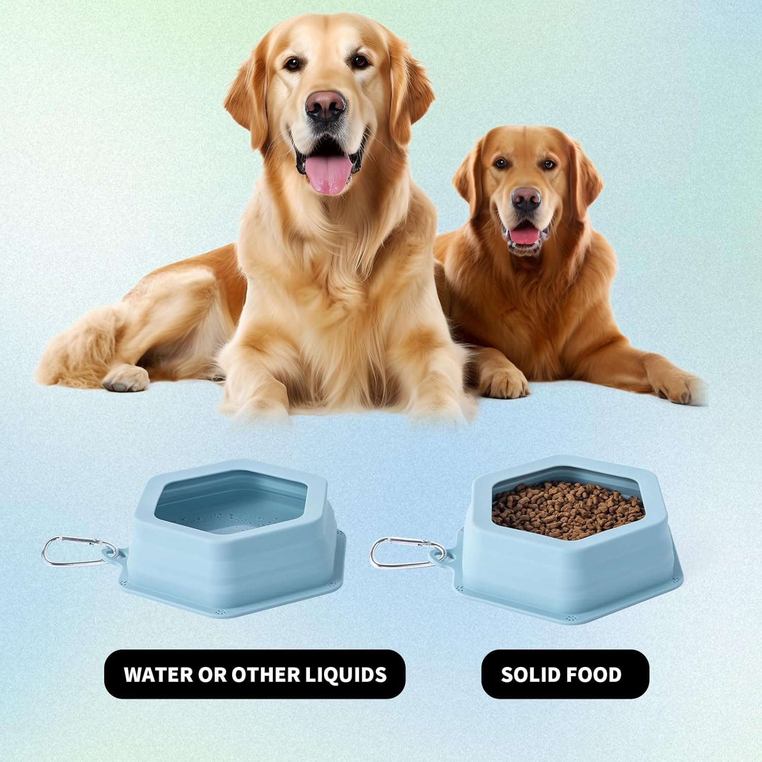 Do No Splash Dog Travel Bowls Really Work? Honest Review for Car Trips