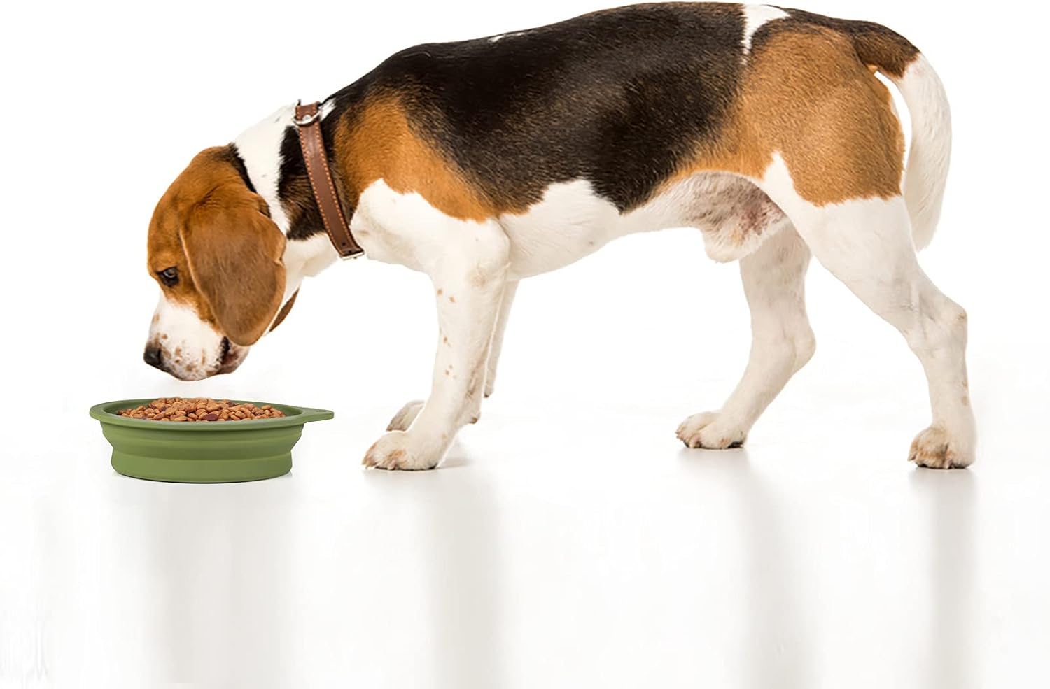How to Keep Your Dog Hydrated During Walks and Hikes: Complete Outdoor Hydration Guide