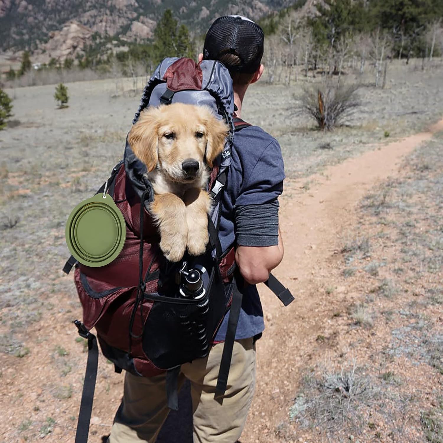 Best Dog Travel Accessories for Hiking, Camping, and Road Trips