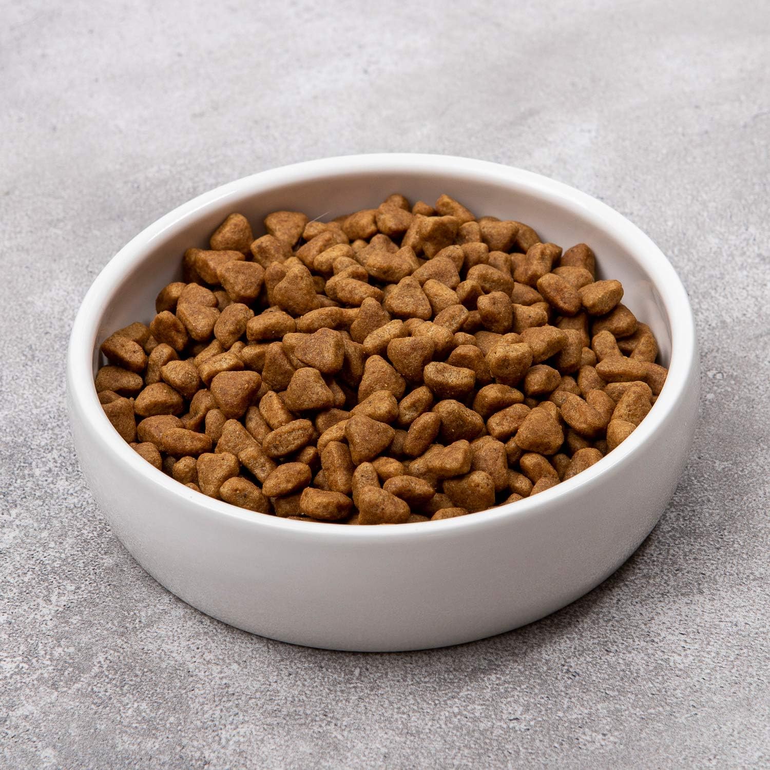 Senior Cat Feeding Guide: Why Elevated Comfort and Stable Ceramic Bowls Matter
