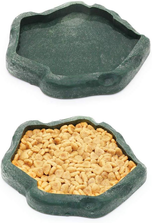 How to Choose the Right Food Dish for Geckos, Frogs, and Small Lizards