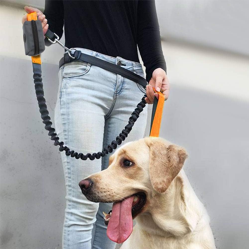 Why a Fabric Dog Poop Bag Holder Is Better Than Plastic Alternatives