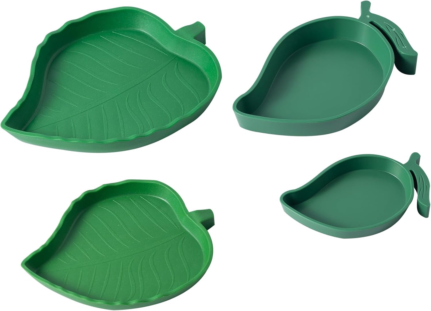 Feeding Tips for Bearded Dragons: Choosing the Right Feeding Bowl