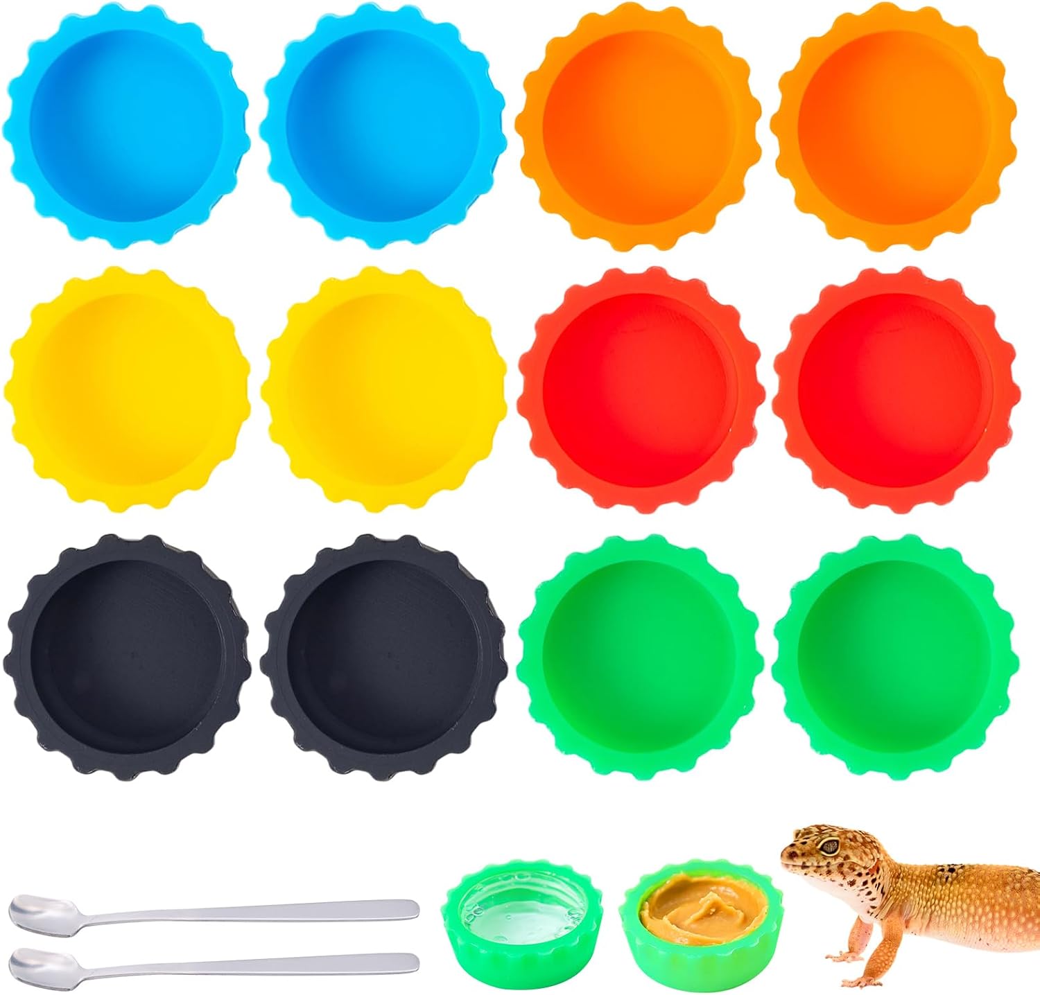 Complete Feeding Guide for Small Reptiles and Invertebrates