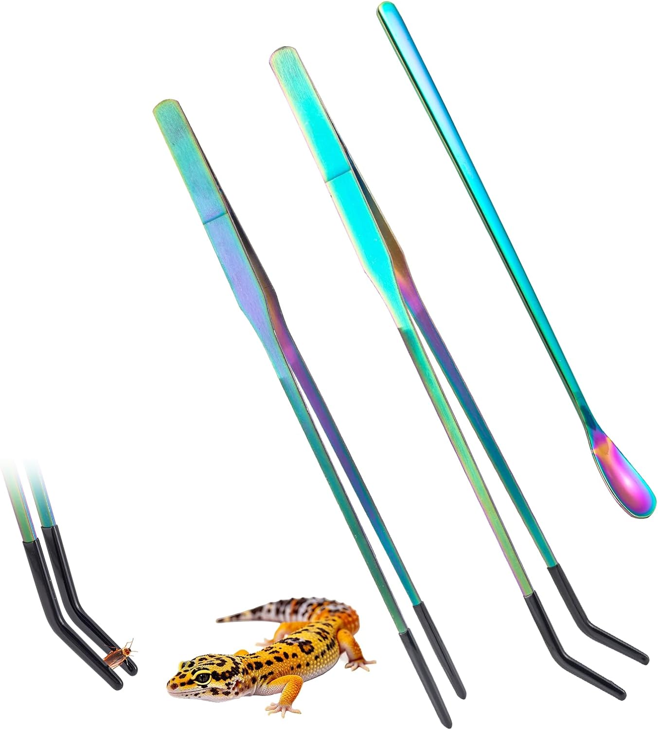 Creating a Better Reptile Feeding Setup for Everyday Terrarium Care