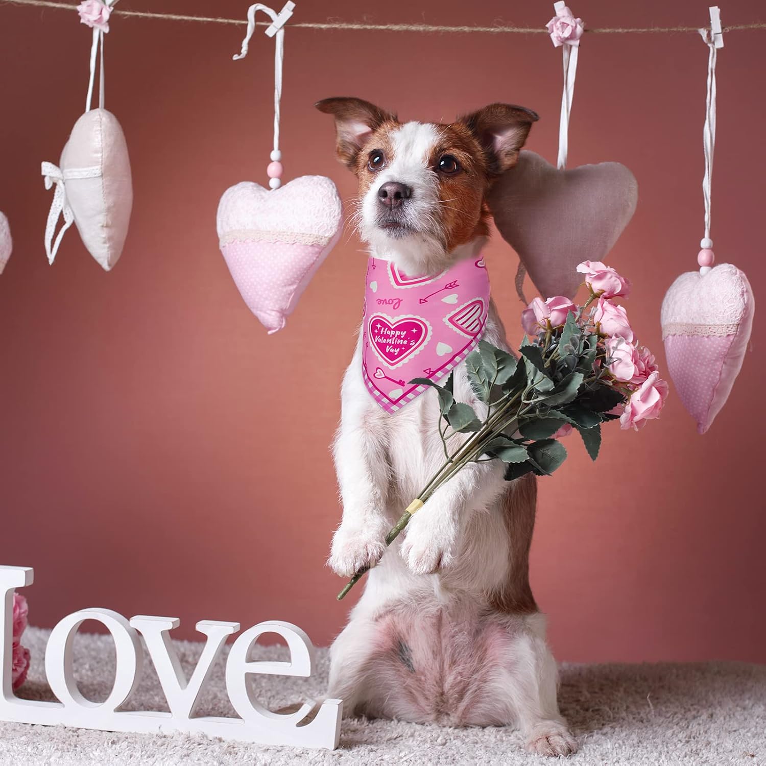 How to Create Fun Valentine’s Day Photos and Videos With Your Dog