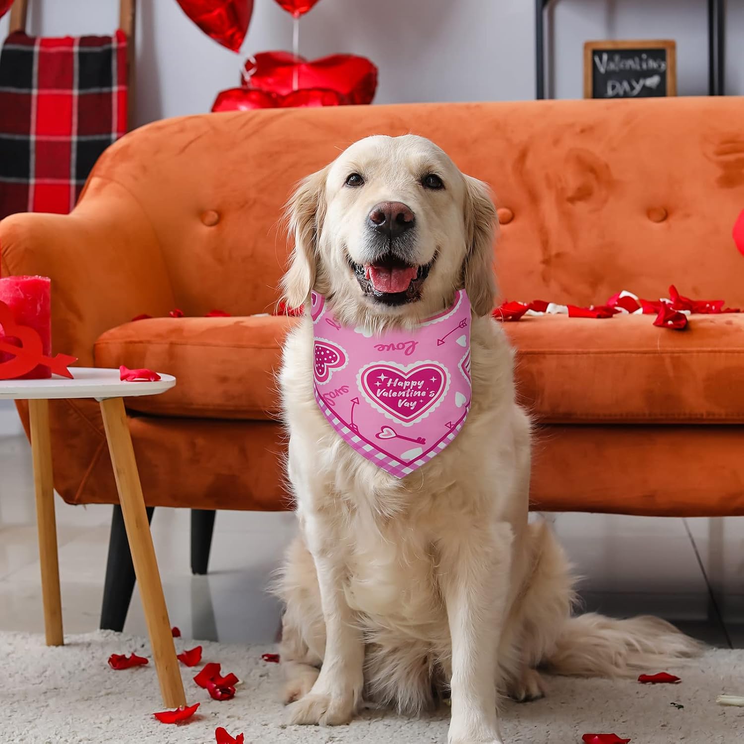 How to Include Your Dog in Valentine’s Day Family Photos
