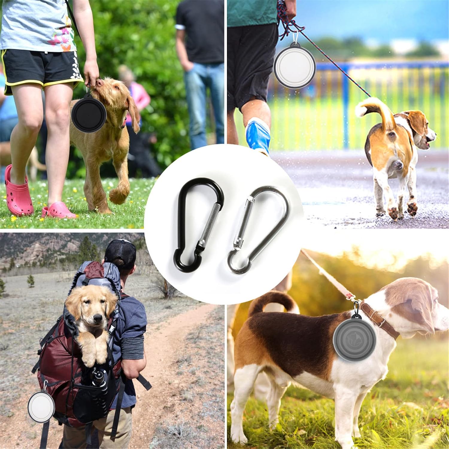 How to Clean and Maintain a Collapsible Dog Bowl